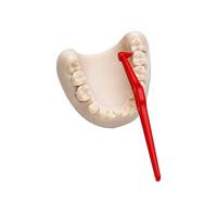 Tepe Angle Interdental Ragers Red 0,5mm 6 154630 - thumbnail