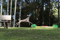 Waboba Woofpack - thumbnail