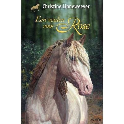 Uitgeverij Kluitman Gouden paarden: een veulen voor rose