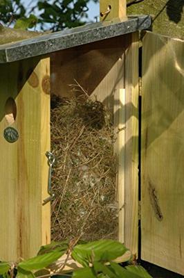Observatienestkast Best for Birds - Best for birds