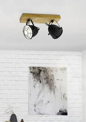 Eglo PlafondlampGatebeck 2 lichts - 44092