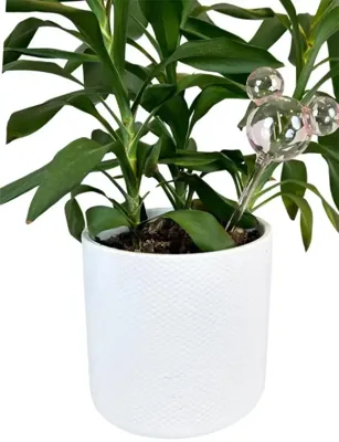 Plant Reservoir Mickey ears glass pink Disney - Disney Plant Reservoir Mickey ears glass pink Disney - Disney