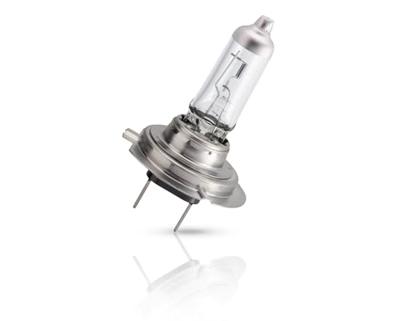 2-pack Philips LongLife EcoVision H7 - 12V - 55W - Halogeenlampen