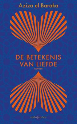 De betekenis van liefde - Aziza el Baraka - ebook