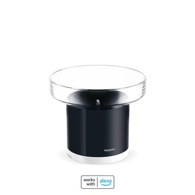 Netatmo NRG01-WW Regenmeter