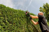 Metabo HS 8755 Heggenschaar | 560w 550mm - 608755000 - thumbnail