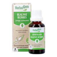 Herbalgem Blauw Bosbes Bio 30ml - thumbnail