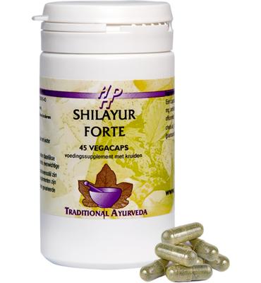 Holisan Shilayur Forte Capsules