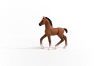 Schleich horse club oldenburger veulen 13947 - thumbnail