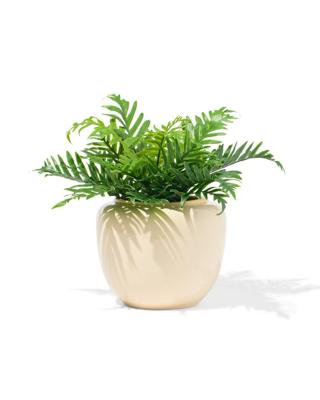 HEMA Bloempot 15x10x13cm Keramiek Crème (creme)