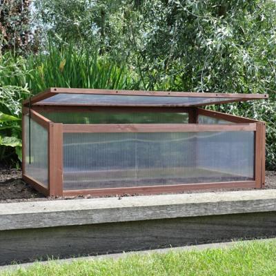 Sweet Tomato kweekkas Sweet Tomato kweekkas