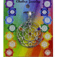 Chakra Mandala Hanger Messing Verzilverd - thumbnail