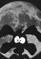 Looney Tunes Easy Fit T-Shirt Coyote - Moon Size S - thumbnail