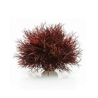 BiOrb zeelelie donkerrood aquarium decoratie - thumbnail
