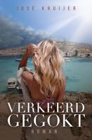Verkeerd gegokt - José Kruijer - ebook - thumbnail
