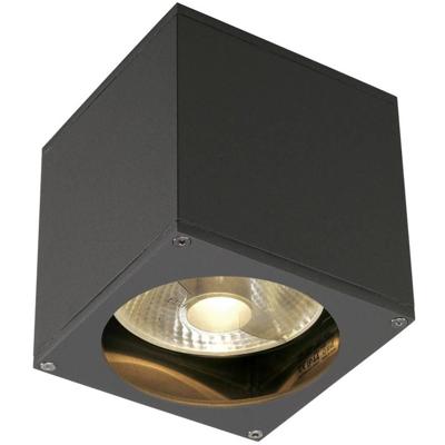 SLV Plafond- wandspotBig Theo GU10 13,5cm antraciet - 229565