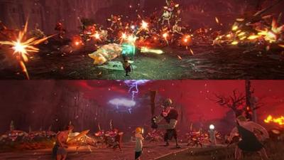 BEE HYRULE WARRIORS FRA