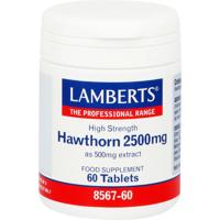 Crataegus 2500mg (hawthorn) - thumbnail