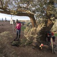 MSR Guardian Gravity Purifier Replacement Cartridge filter - thumbnail