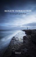Verborgen gebreken - Renate Dorrestein - ebook - thumbnail