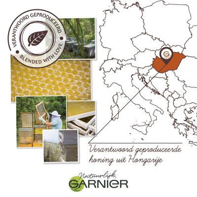 Garnier Loving Blends Honing Goud Leave-in Crème - 6x 200ml multiverpakking