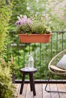 Bloempot Elho 20 x 78 x 17 cm Bruin Plastic Vierkant - thumbnail