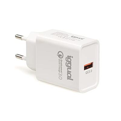 Oplader iggual IGG317174