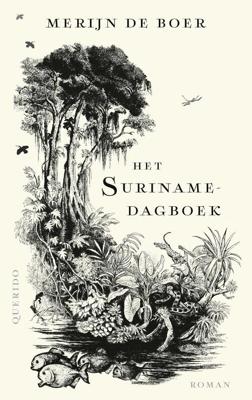 Het Surinamedagboek - Merijn de Boer - ebook