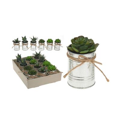 Plantje in pot zink touw