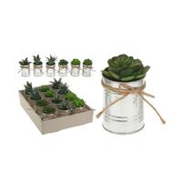 Plantje in pot zink touw - thumbnail