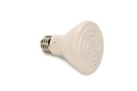 Powerheat donkerstraler - 60 watt - thumbnail