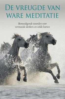 De vreugde van ware meditatie (Paperback)