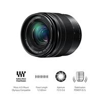 Panasonic Lumix G Vario 12-60mm F/3.5-5.6 ASPH Power OIS - thumbnail