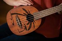 Ortega Pineapple Series RUPA5MM concert ukelele naturel - thumbnail