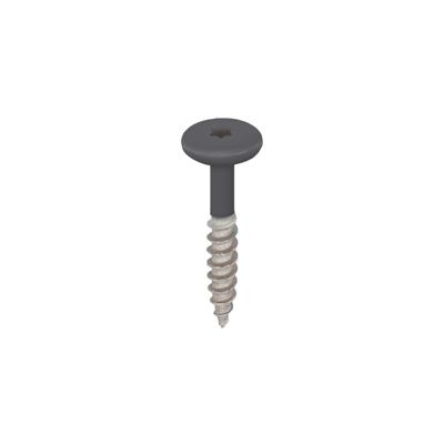 Torx schroef RVS 32 mm 100st Antraciet - Keralit (2890)