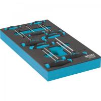 HAZET Schroevendraaierset · met T-greep 163-182/9 · Binnen-TORX®-profiel · 9-delig · T6 · T7 · T8 · T9 · T10 · T15 · T20 · T25 · T30 - thumbnail