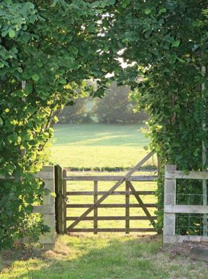 Meadow 50x70cm Tuinschilderij Customize-it - Customize it