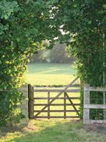 Meadow 50x70cm Tuinschilderij Customize-it - Customize it - thumbnail