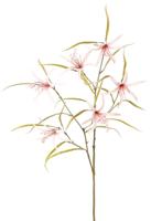 Lelie Spider Lycorisspinlelie vertakt met 6 bloemen & 24 blaadjes 94 cm kunstbloem I Top Art - Top art - thumbnail