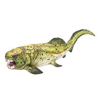 Mojo prehistorie dunkleosteus - 387374 - thumbnail