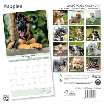 Puppies Kalender 2026