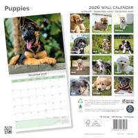 Puppies Kalender 2026 - thumbnail