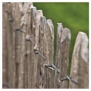 Kastanjepaal dia. 7-9x150 cm Tuindeco - Tuindeco Kastanjepaal dia. 7-9x150 cm Tuindeco - Tuindeco