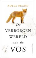 Adele  Brand De verborgen wereld van de vos - thumbnail