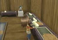 Harvest Moon Tree of Tranquility - thumbnail