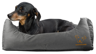 Bodyguard Sofa Bed Grijs S