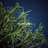 Daniel Hechter L'Homme Hechter Edp Spray 90 ml Eau de toilette Heren - thumbnail