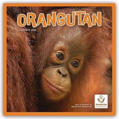 Orang-oetan Kalender 2026 Orang-oetan Kalender 2026