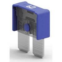 MTA Automotive MAXICOMPACT 60A 06.02960 Platte maxizekering 60 A Blauw 1 stuk(s) - thumbnail