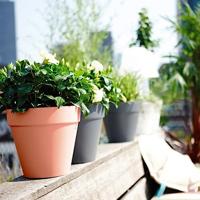 Terraliet bloempot 20x17cm terracotta - thumbnail